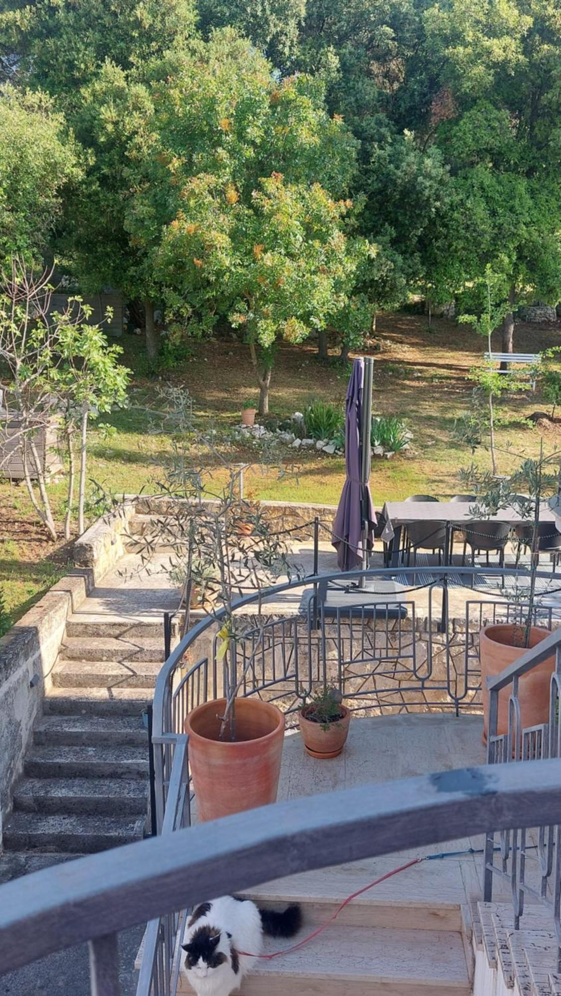 Marta Apartamento Rovinj Exterior foto